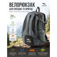 Велорюкзак Wallaby с каркасной спинкой и сеткой 30 л 28х47х17 см полиэстер Серый