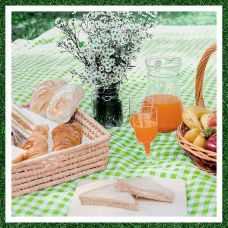 Большой пикниковый коврик 200х200 см Falcon в зеленую клетку