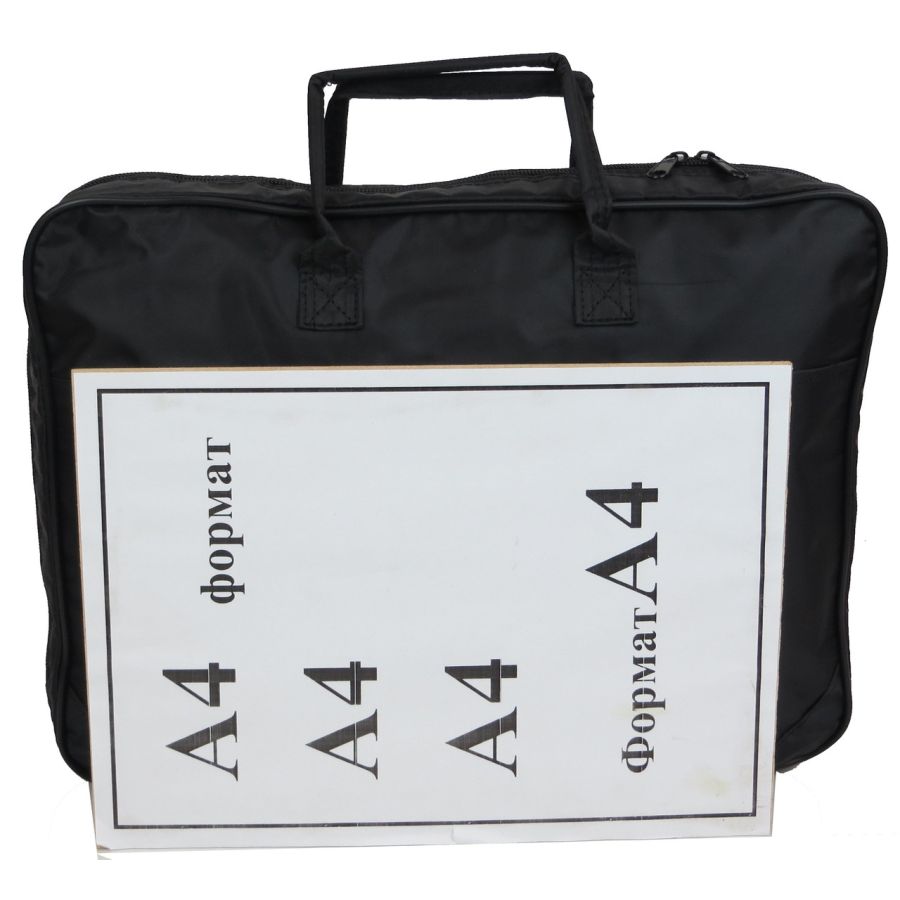 Сумка для ноутбука Professional 14,1 37x28x7 см Черный