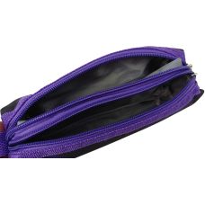 Пенал школьный Expertiz Zweikammer-etui 20x5.5x5 см полиэстер черный с фиолетовым (динозавры)