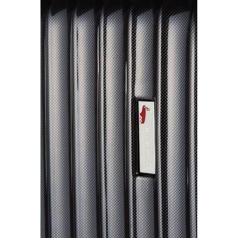 Дорожный чемодан среднего размера 100L Sumdex черный
