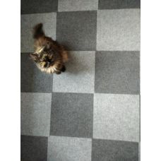 Самоклеящаяся плитка под ковролин Sticker Wall SW-00001420 300х300х4мм Темно-серый