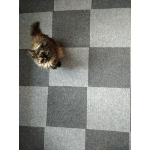 Самоклеящаяся плитка под ковролин Sticker Wall SW-00001420 300*300*4мм Темно-серый