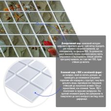 Декоративная ПВХ панель Ракушки 960х480х4мм SW-00001789