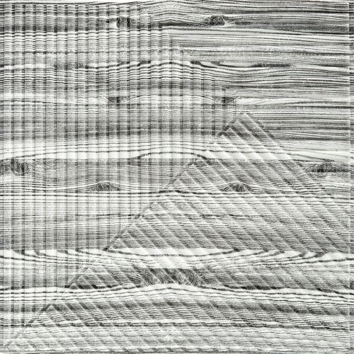 Панель стеновая 3D 500х500х5мм Бамбук Дерево Зебра SW-00002884