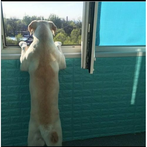 Самоклеющаяся декоративная 3D панель под бирюзовый кирпич 700x770x7мм