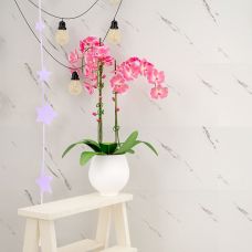 Самоклеящаяся стеновая PET плитка 600х300х2мм, цена за 1 шт. (PET-1679)