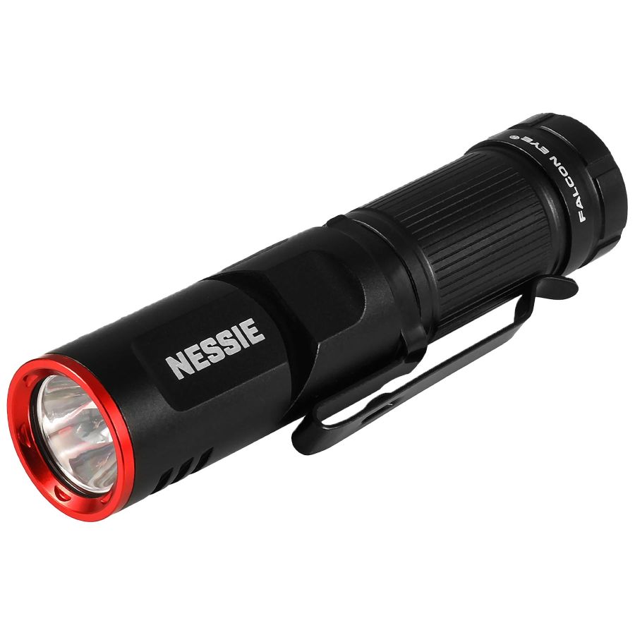 Фонарь тактический Falcon Eye Nessie 500 Lm магнитный USB-C алюминий Black