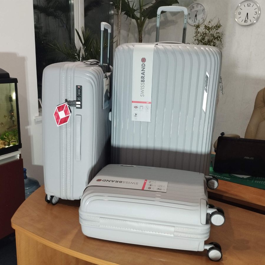 Чемодан Swissbrand Narberth (M) Grey (SWB_LHNAR801M)