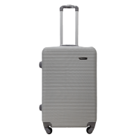 Чемодан средний M ABS-пластик Milano bag 004 66×44×28,5см 75л Серебряный