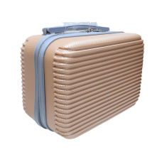 Бьюти-кейс Carbon 0508/14 Маленький S Шампань