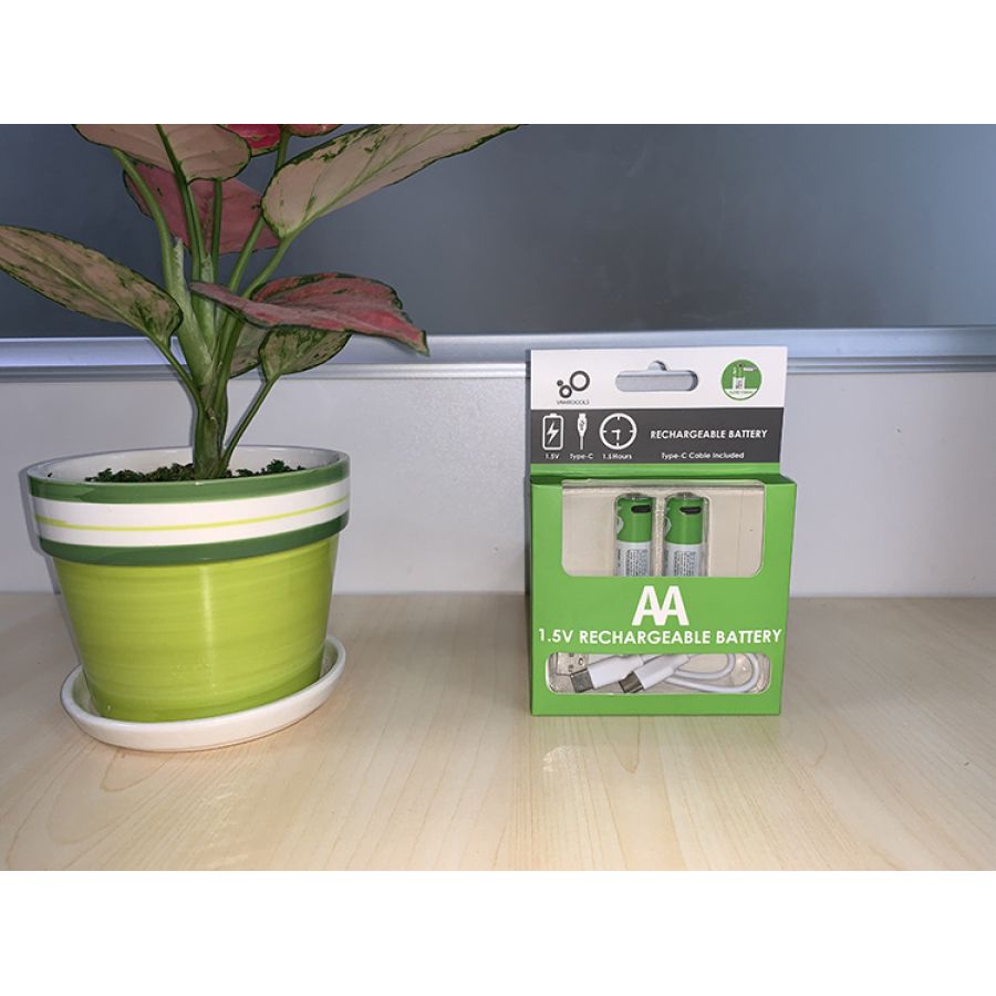 Аккумуляторы SMARTOOOLS AA 1.5V Type-C (2 шт)