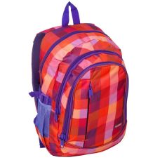 Городской рюкзак PASO 15- 22L Разноцветный