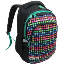 Молодежный рюкзак PASO 00-699PAN 22L Разноцветный