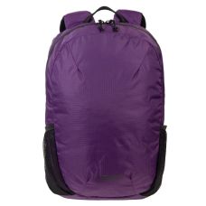 Легкий рюкзак для ноутбука 15,6 дюймов Vinel VL0101BPDP  20L Фиолетовый