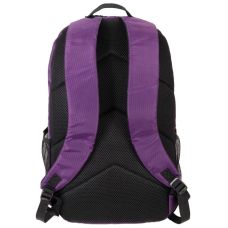 Легкий рюкзак для ноутбука 15,6 дюймов Vinel VL0101BPDP  20L Фиолетовый