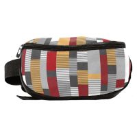 Поясная сумка-бананка  Paso 18-510KS Разноцветная в клетку